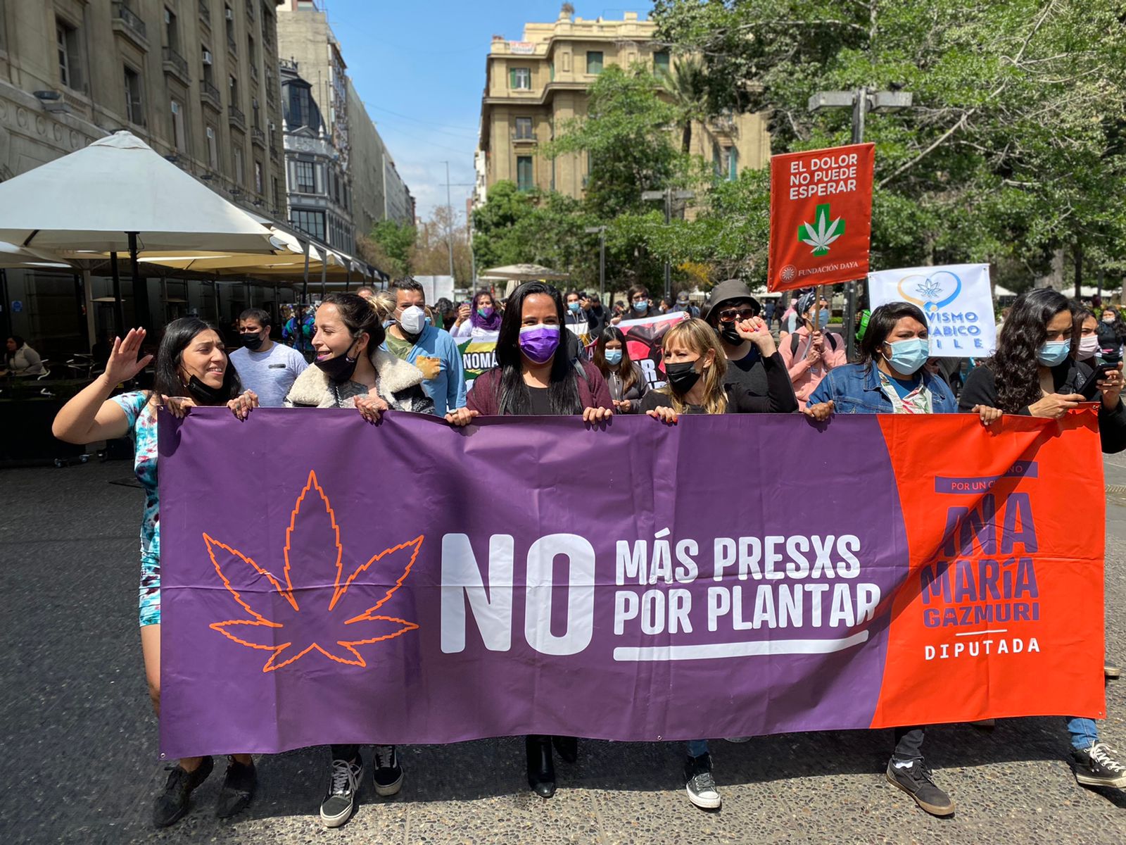 Dos allanamientos a usuarias medicinales de Cannabis en las últimas 24 horas en el país: RM y Bio Bio