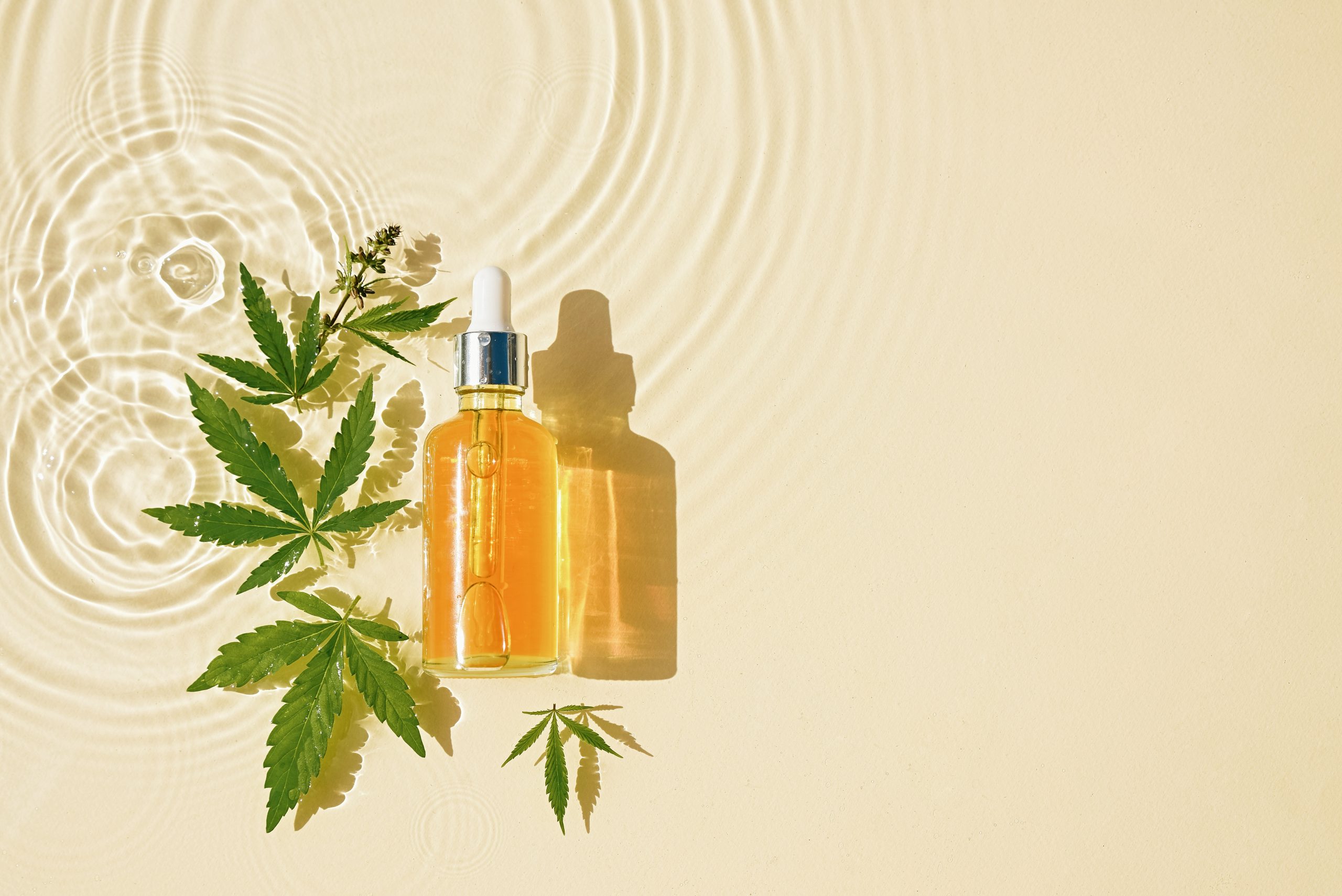 Legalización del cannabis: Una forma inteligente de encontrar paz en tiempos violentos y combatir el narcotráfico